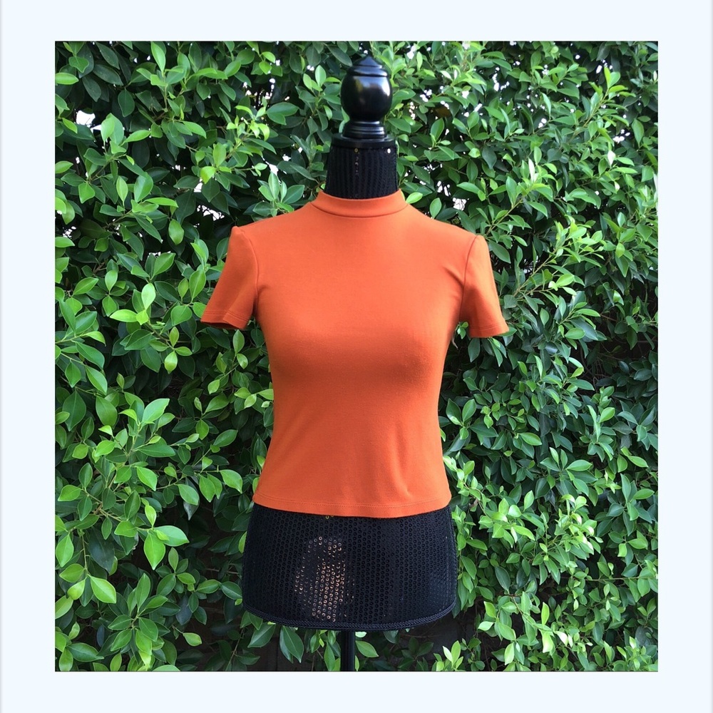 American apparel mock neck crop top